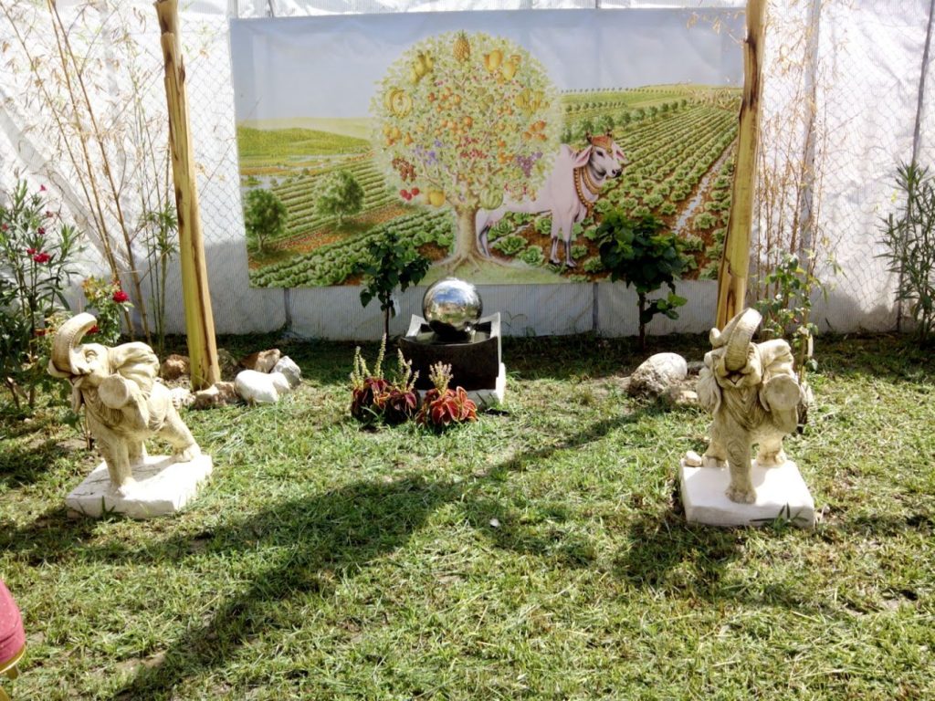 finca donde comprar verdura directamente agricultor